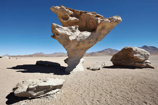 Pedra árvore — Fotografia de Stock