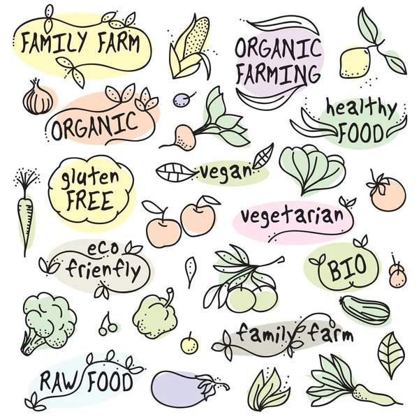 Organiczne wegańskie, świeże jedzenie, gospodarstwo rodzinne — Wektor stockowy