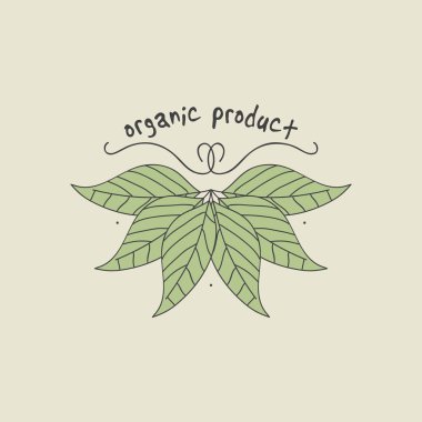 Yeşil yaprak ekoloji doğa öğeleri