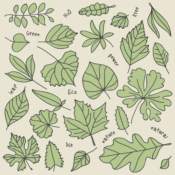 Écologie des feuilles vertes éléments naturels — Image vectorielle
