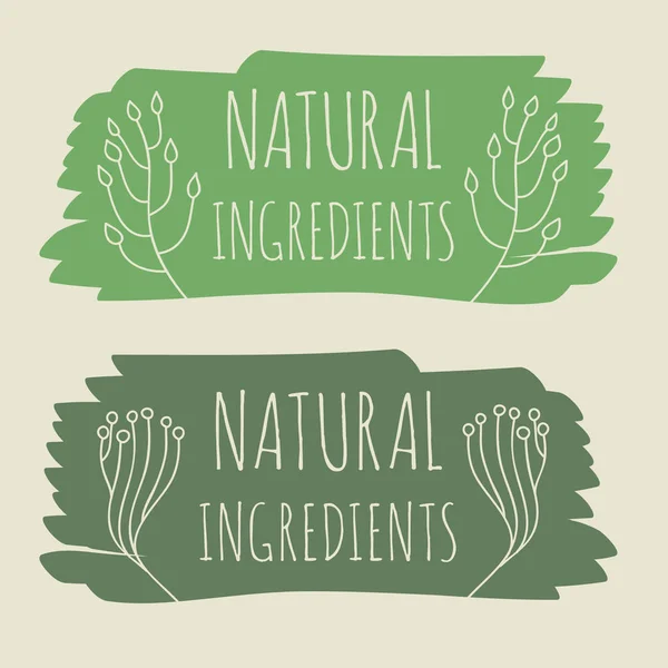 Étiquette de produit naturel — Image vectorielle