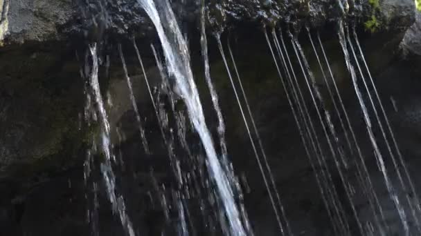 Water Flowing Stones Close — Stock Video