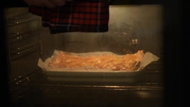 Mão Masculina Abrindo Porta Forno Cozinha Torta Está Assada Forno — Vídeo de Stock