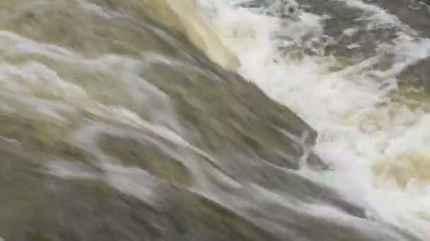 Close River Stream Flowing Fast Cold Brook Clear Water Flowing — Stock Video