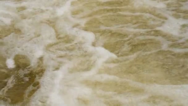 Nahaufnahme Des Abfließenden Flusslaufs Schneller Und Kalter Bach Mit Klarem — Stockvideo