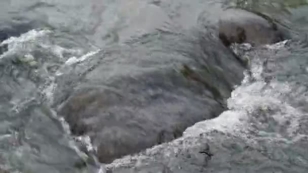 Close River Stream Flowing Grey Stones Stock Footage Fast Cold — Stock Video