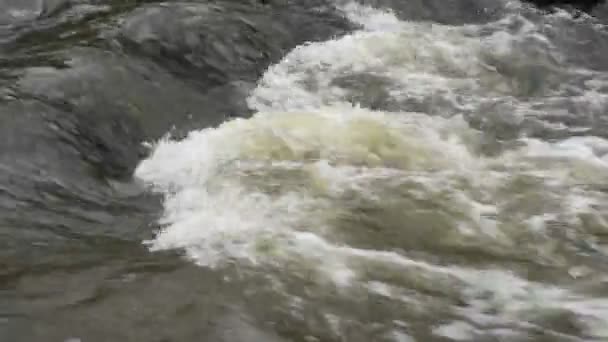Gri Taşların Üzerinden Akan Nehir Akıntısını Kapatın Stok Görüntüleri Bahar — Stok video