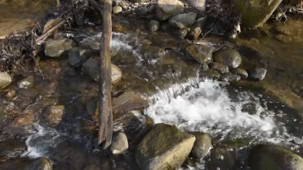 Rivier Stroomt Stenen Voorraadbeelden Snelle Koude Beek Met Helder Water — Stockvideo