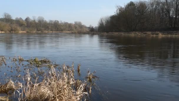 Large River Good Calm Weather — Stockvideo