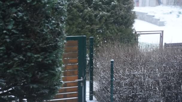 Nieve Cayendo Caída Nieve Pesada — Vídeos de Stock