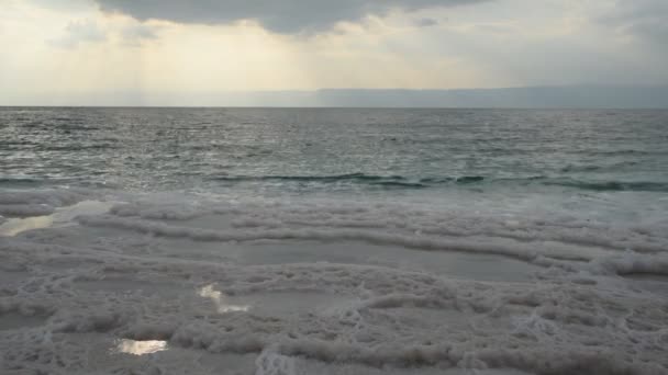 Coastline Dead Sea Evening — Stock Video