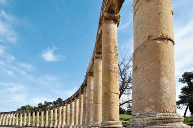Büyük Roma şehri Jerash 'ın harabelerinde yer alan Oval Plaza sütunları - Gerasa, M.Ö. 749' da Jerash, Ürdün 'de meydana gelen bir depremde yerle bir oldu.