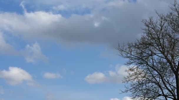 Nubes Cielo Timelapse Nubes Blancas Cielo Azul Vuelo Sobre Nubes — Vídeos de Stock