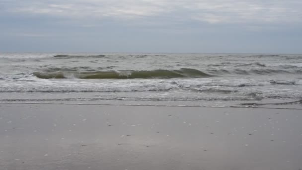 Ondas Mar Báltico Lavar Costa Costa Mar Báltico Pequenas Ondas — Vídeo de Stock