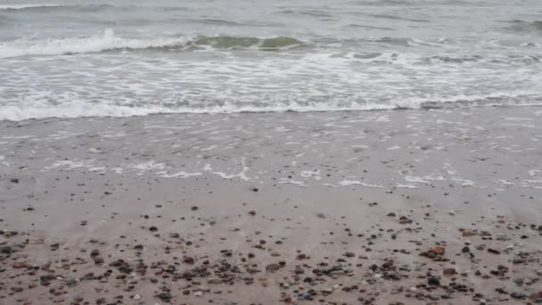 バルト海の波が海岸に洗濯 バルト海沿岸 海の上の小さな波 — ストック動画