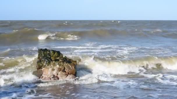 Ondas Mar Nas Pedras Tempestade Mar Báltico — Vídeo de Stock