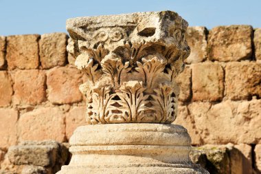 Ürdün 'ün Jerash kentindeki harabe Greko-Roma şehrinin sütunları