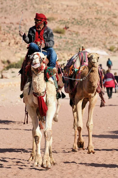 ペトラ ヨルダン 2020年2月18日 アラブ ベドウィンのガイドは ヨルダンのペトラの古代都市に乗っています ペトラはユネスコの世界遺産に登録されている — ストック写真