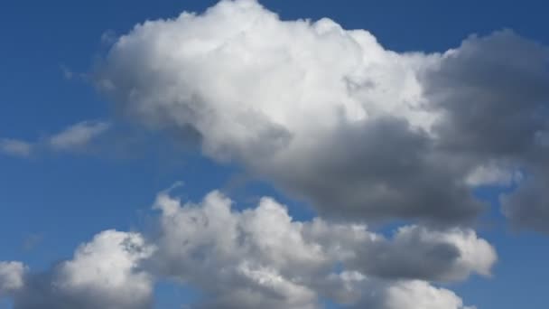 Nubes Cielo Timelapse Nubes Blancas Cielo Azul Vuelo Sobre Nubes — Vídeos de Stock