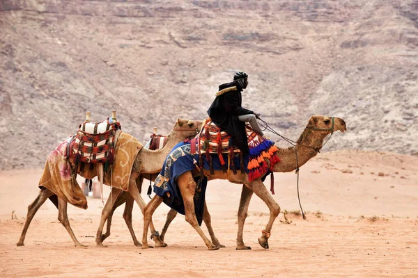 约旦Wadi Rum村 2020年2月19日 贝都因人骑着骆驼在瓦迪拉姆沙漠 — 图库照片