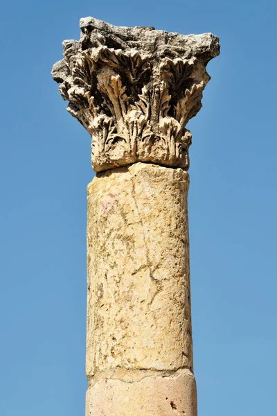 Kolumn Förstörd Grekisk Romerska Staden Gerasa Jerash Jordanien — Stockfoto