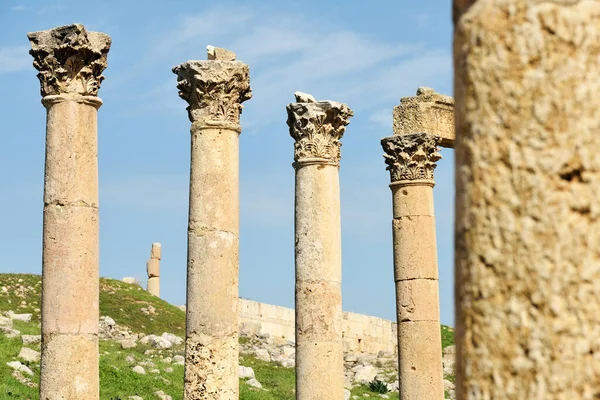 Columnas Arruinada Ciudad Grecorromana Gerasa Jerash Jordania — Foto de Stock