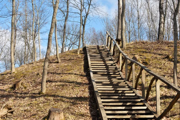 Ξύλινη Σκάλα Μονοπάτι Μέσα Από Δάσος Εαρινό Ταξίδι Και Διαδρομή — Φωτογραφία Αρχείου