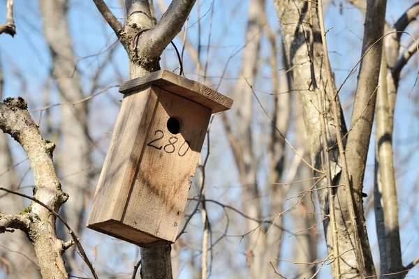 Παραδοσιακό Ξύλινο Σπιτικό Κουτί Φωλιάς Κρεμασμένο Ένα Δέντρο Στον Κήπο — Φωτογραφία Αρχείου