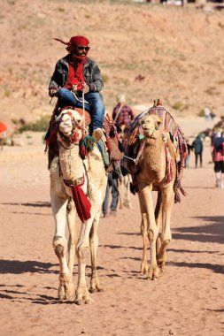 Petra, Ürdün - 18 Şubat 2020. Ürdün 'ün Petra şehrinde Araplar develerle rehberlik eder. Petra, ülkenin UNESCO Dünya Mirası listesine girmesini sağladı..