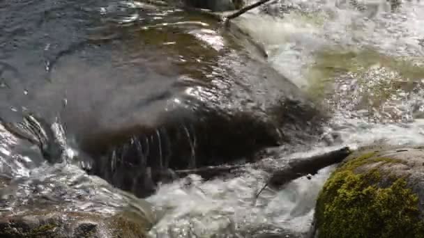 Nehir Akıntısının Taşların Üzerinden Akışını Kapat Stok Görüntüleri Bahar Zamanı — Stok video