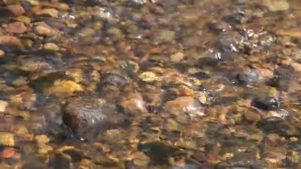 河岸水下的河石或卵石 — 图库视频影像