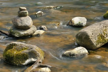 Hızlı dağ nehri ormanda kayaların ve yosunlu taşların arasında akar. Güzel dağlık doğa, orman dağı manzarası..