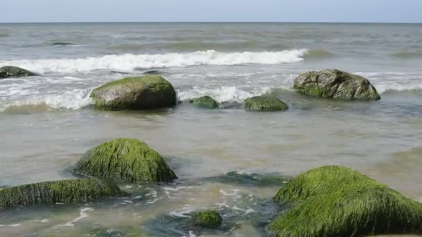 Камни Берегу Балтийского Моря — стоковое видео