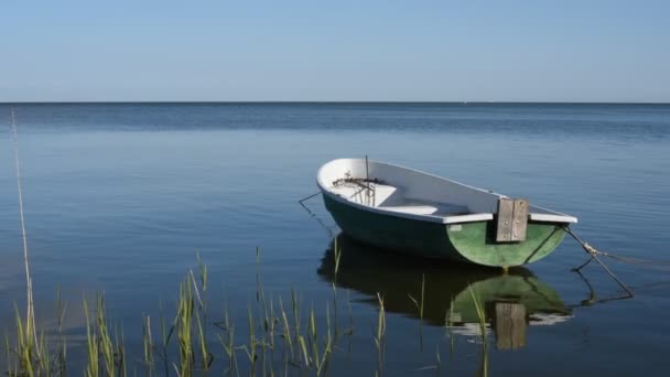 Kleines Holzboot Schwimmt Auf Dem Klaren Wasser Eines Natürlichen Sees — Stockvideo