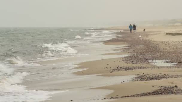 Piękna Samotna Piaszczysta Plaża Nad Morzem Bałtyckim Mgła Rano — Wideo stockowe