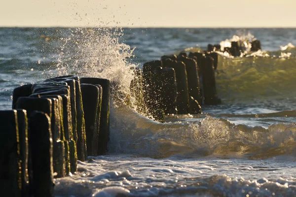 水撞到了驶入大海的木桩上 波罗的海的旧木墩 — 图库照片