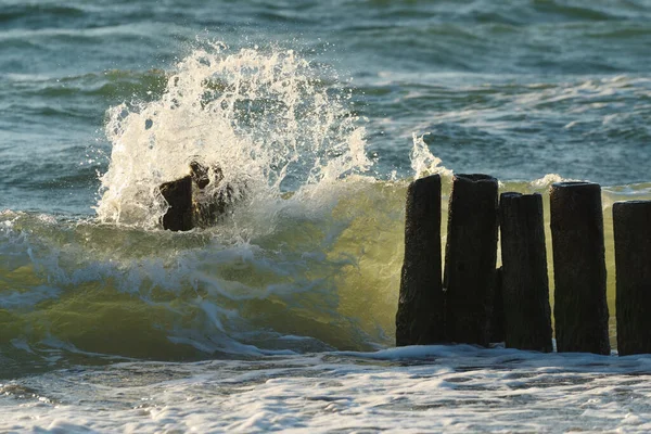 Νερό Χτυπά Ξύλινα Σωρούς Οδηγείται Στη Θάλασσα Παλιά Ξύλινη Προβλήτα — Φωτογραφία Αρχείου
