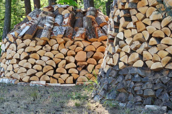 Подготовка Дров Зиме Дрова Заднего Плана Стопки Дров Лесу Куча — стоковое фото