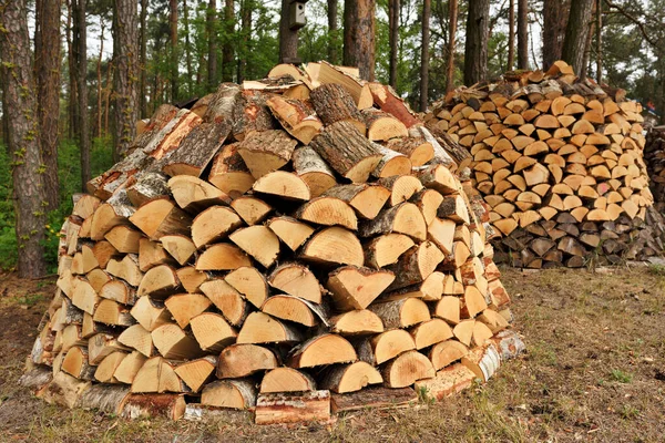 Preparation Firewood Winter Firewood Background Stacks Firewood Forest Pile Firewood — Stock Photo, Image