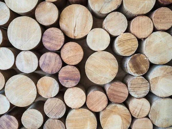 Fondo redondo de tronco de madera de teca Imagen De Stock