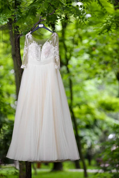Vestido de novia colgado en el árbol en luz natural — Foto de Stock