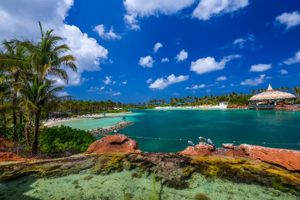 Playa con palmeras y aguas cristalinas a la luz natural — Foto de Stock