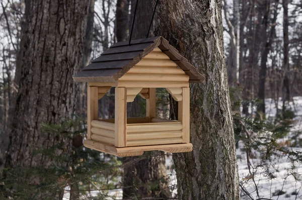 Mangeoires à oiseaux dans les bois — Photo