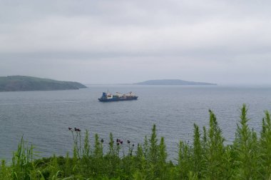 Bir ticaret gemisine onun ev liman bırakır.