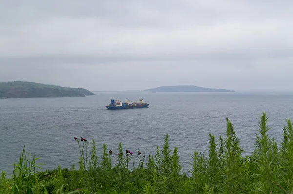 Bir ticaret gemisine onun ev liman bırakır.