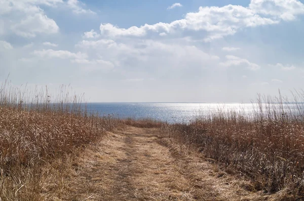 Vägen till havet genom ett fält av torrt gräs — Stockfoto