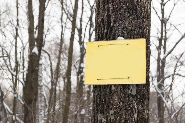 Plaque signalétique avec espace pour le texte ou l'inscription sur l'arbre dans la forêt d'hiver . — Photo