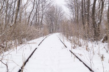 Eski terk edilmiş tren kış ormanın içinde. Yakın çekim