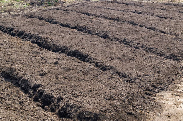 Camas de jardín de verduras — Foto de Stock