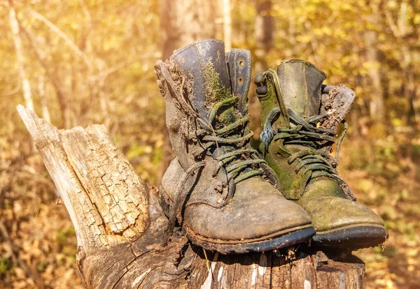 Twee zwaar versleten en oude militaire laarzen staan op een zonnige dag tegen een bos. Een paar verlaten werkschoenen rotten op een stomp — Stockfoto